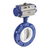 U Type Flange Butterfly Valve