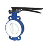 Fluorine Lined Wafer Butterfly Valve